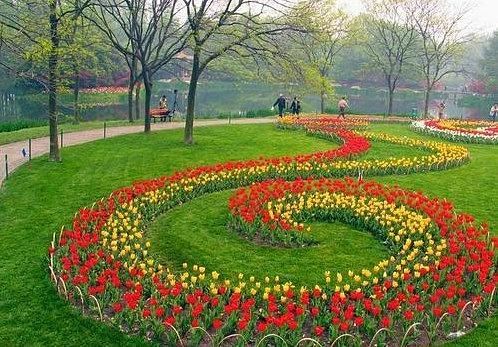 園林養(yǎng)護(hù)二